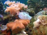 Aquarium_070304