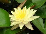 JardinMartels260502-03 