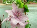 JardinMartels260502-06 