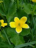 Le_Buque_120404 
