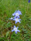Le_Roussel_100404 
